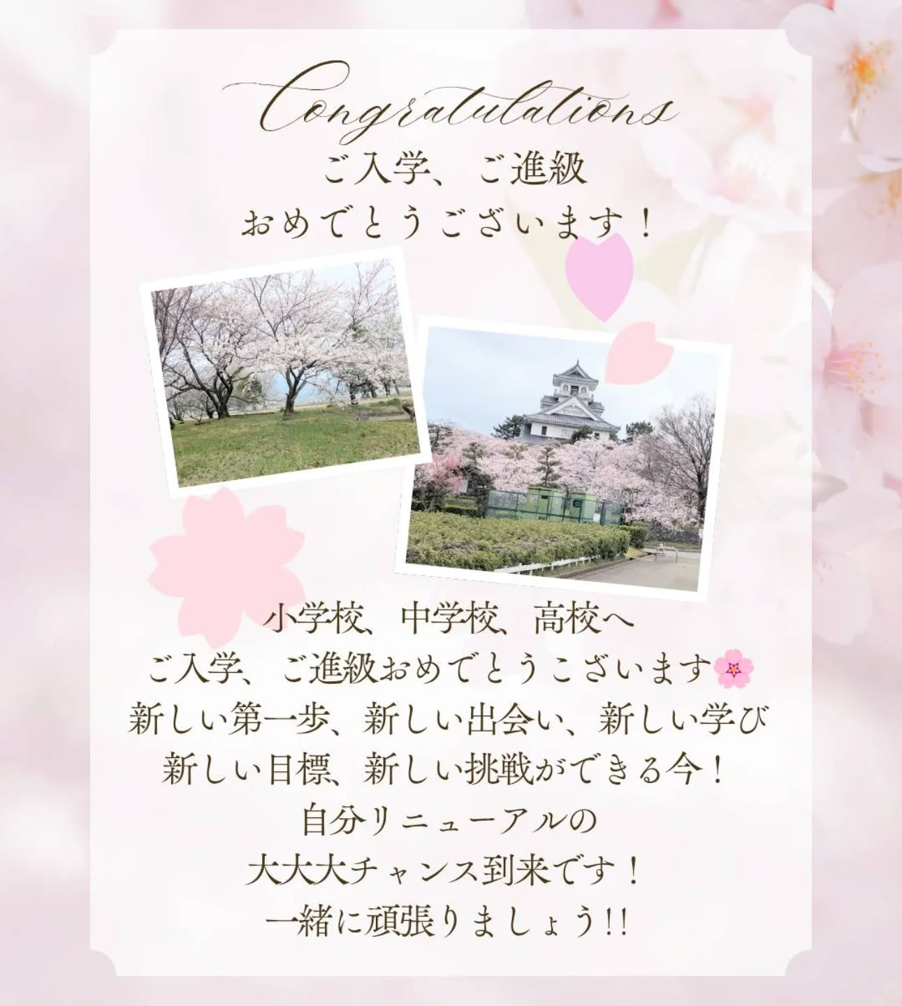 ご入学、ご進級、おめでとうこざいます🌸